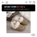 발란 겨울 스테디템들 블프 세일한다!! 이미지