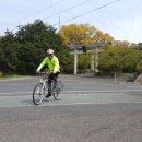 돗토리현 자전거여행- 나와신사 이미지