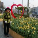 월평리경로당 이미지