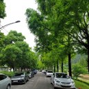 현대자동차평화점 이미지