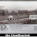 부산언양불고기 이미지