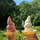 목장양꼬치 이미지