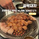 노형동근고기 | [제주/맛집] 제주도 노형동 구워주는 근고기 돼지고기 현지인 맛집 "골목돼지" 서비스&amp;가성비 추천