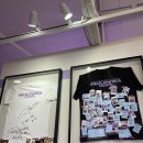 팔로니아 복싱 이미지