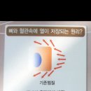 편백나무 나노 탄소 발열체 사우나돔 이미지