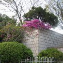 백선바오로의 집 이미지