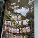 쥬쥬펫살롱 이미지