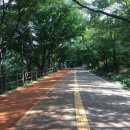 남산공원길3 이미지