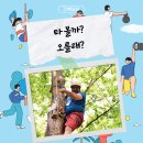 대아꼬지