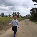 반딧불 가족농원 이미지