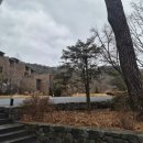 가온카페.스낵 | 제천 포레스트 리솜 별똥카페 후기 리솜포레스트 산책하다 들르기 좋은 숲속 카페