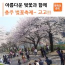 2030산악회 충주 비내섬 미니멀 캠핑및 충주댐 벚꽃축제 4월7일~8일 (1박2일) 이미지