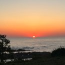 오션빌리지 104 이미지