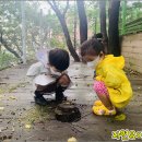 광명유치원 이미지