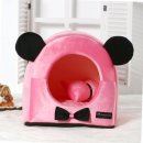 오로라펫 이미지