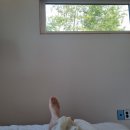 남해 돈섬 이미지