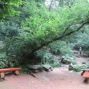 새미약수터 이미지