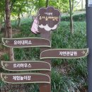 사직공원 유아숲체험원 이미지
