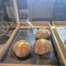 합성동255 | [마산 양덕동 카페] 마산 합성동 대형카페 로프트 커피