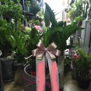 아름동우체국 이미지