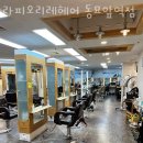 롯데캐슬 천지인아파트 | 동대문미용실 라피오리레헤어 동묘앞역점 여자파마 잘하는 곳
