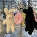 SAMO | [세이모 온도 SAMO ONDOH] 플래그십스토어 성수 후기 🐰 | 어디선가 들리는 듯한 뉴진스의 OMG