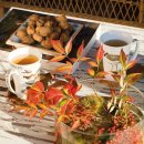 꿈의 정원 이미지