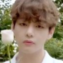 백장미댄스 이미지