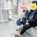 사랑이있는동물병원 이미지