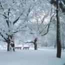 물의 기억 이미지