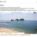 명가 사계절휴양지 Daum카페