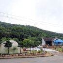 삽교원 Daum카페
