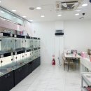 강아지분양 마이댕냥 일산점 이미지