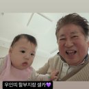 김용건, 늦둥이 아들인 줄 알겠어... 손주와 붕어빵 이미지