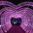 로맨틱 제주 이미지