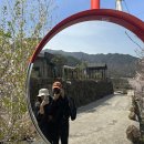 화개햇살민박 | 하동 민박 화개햇살민박 벚꽃시즌 방문 예약 후기 하동숙소 추천