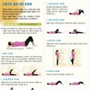 자가운동 표준 프로그램 이미지