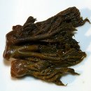 둥지농원 이미지