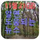 서평택강남공인중개사사무소 | 11월 21일(금) 알면 도움되는 뉴스