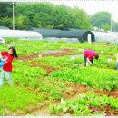 상남농장 이미지