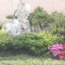 정관장남