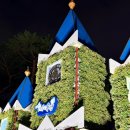 유성 국화축제 | [대전] 유림공원 2025년 유성국화축제 야경 후기 주차정보 개화정보