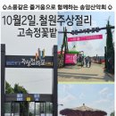 대일떡집 이미지