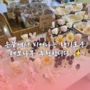 남해원 이미지