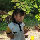 실내초병설유치원 이미지