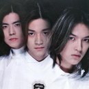 와이투케이 카카오 검색결과