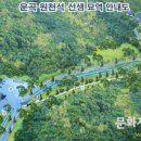 작자유수