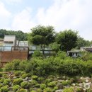 엘솔