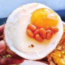 NOSH(노쉬) 이미지
