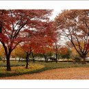 장안공원 이미지